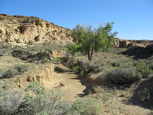 Tributary Drainage in Chaco Canyon